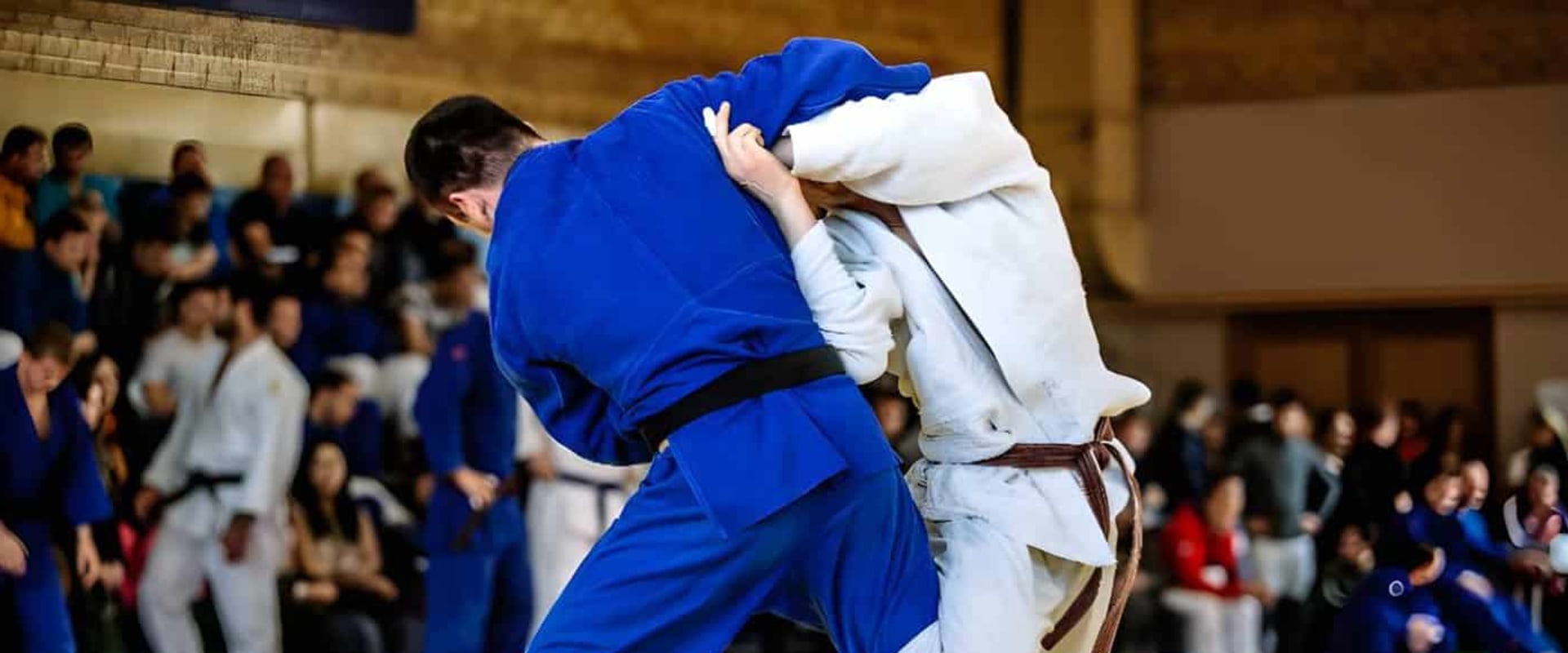 Judo - A Comprehensive Look