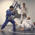 Understanding Gracie Jiu Jitsu