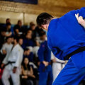 Judo - A Comprehensive Look